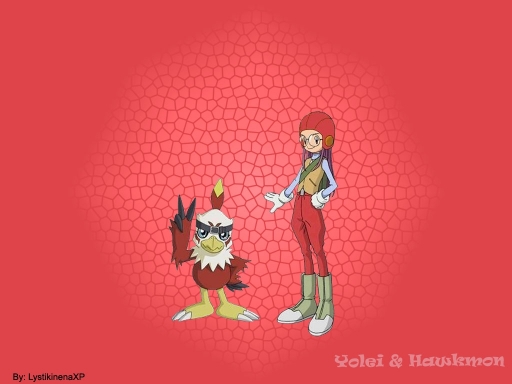Yolei & Hawkmon