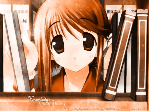 Knowledge: The beauty of learn