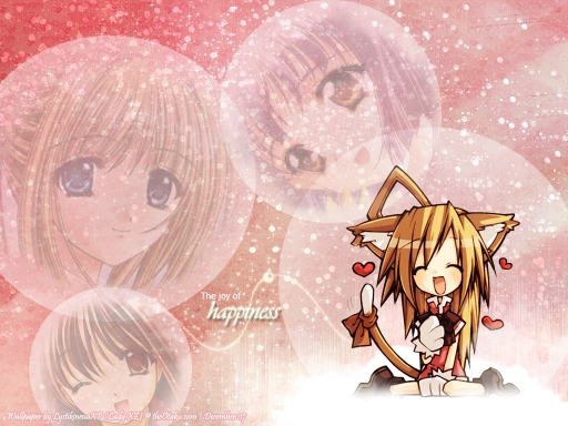 The Joy Of Happiness