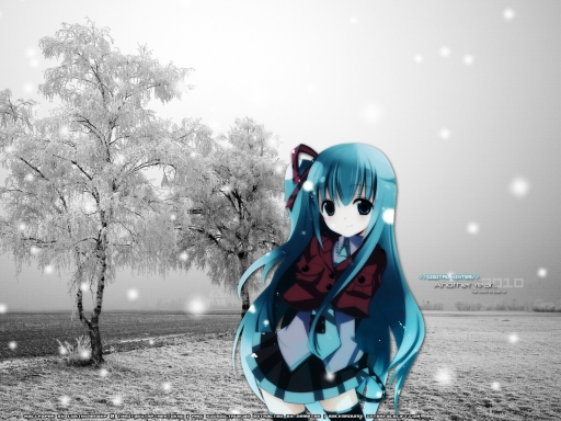 Digital winter...Another year