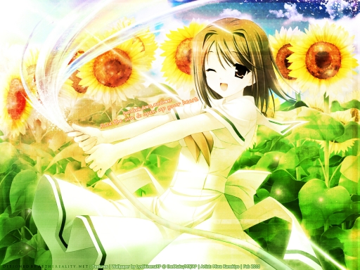 Don't look down, sunflower