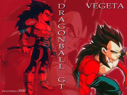 Vegeta Level 4