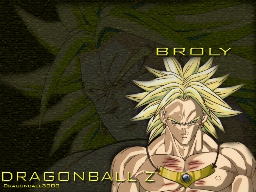 Broly Db3000-04