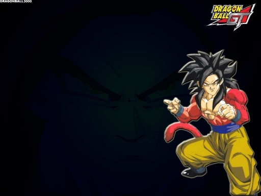 Dbz2006