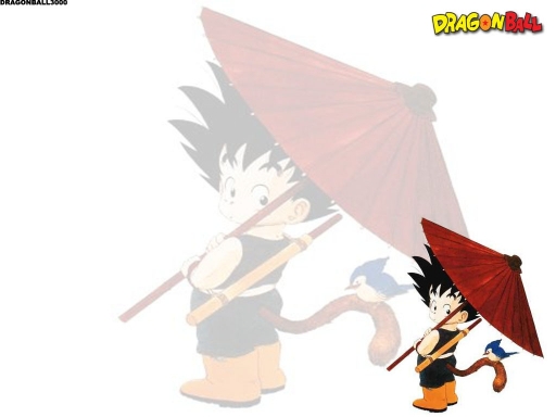 Dbz06