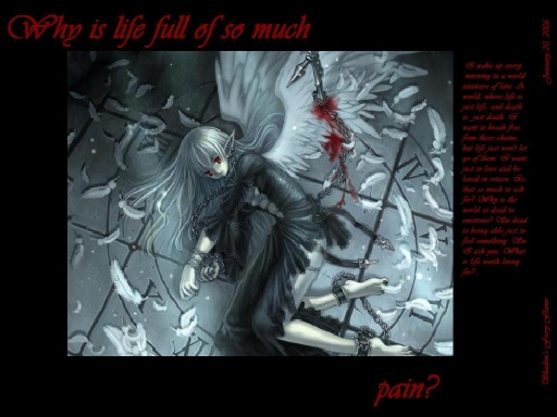 Why Is Life Full Of So Much Pa