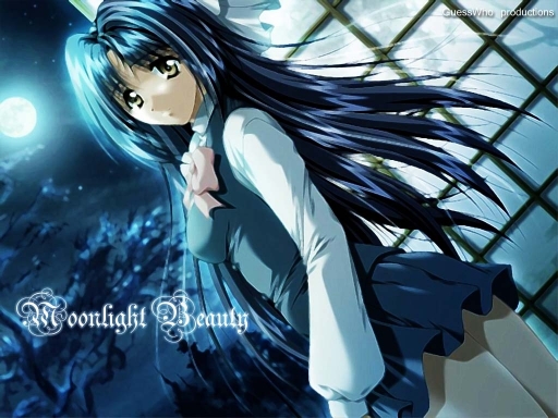 Moonlight Beauty