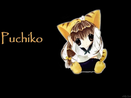 Puchiko