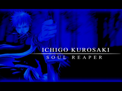 Soul Reaper