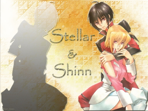 Stellar&shinn