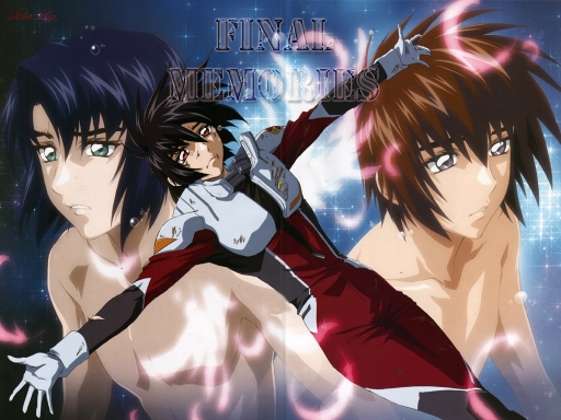 Final Mememories