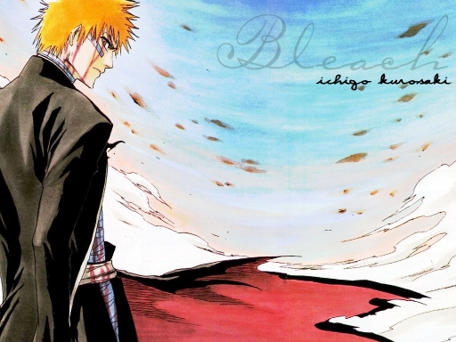Bleach Ichigo