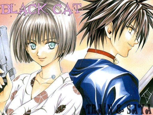 Black Cat