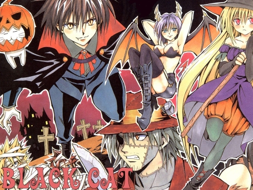 Black Cat