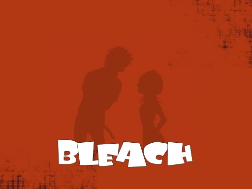Bleach Fight
