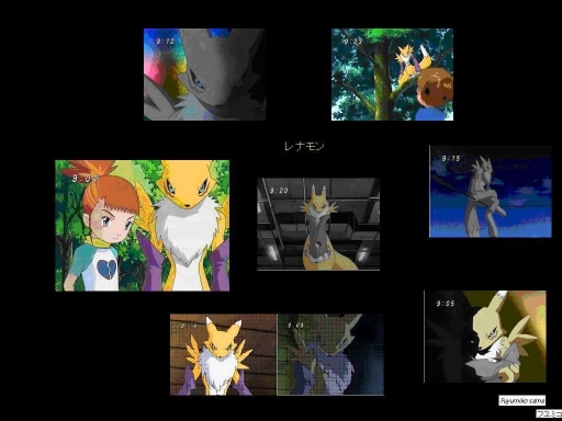 What is a fox to do?