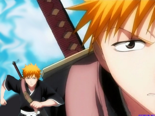 Bleach