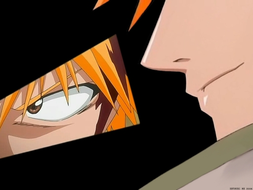 Bleach-002