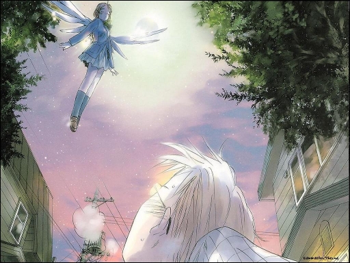 Falling Angel