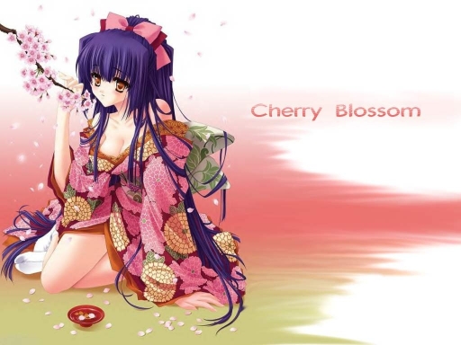 Cherry Blossom