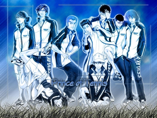 Prince Of Tennis Team