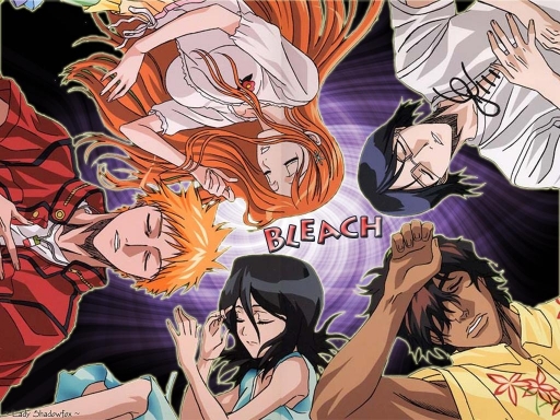 Bleach Group