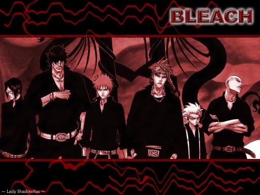 Bleach Boys