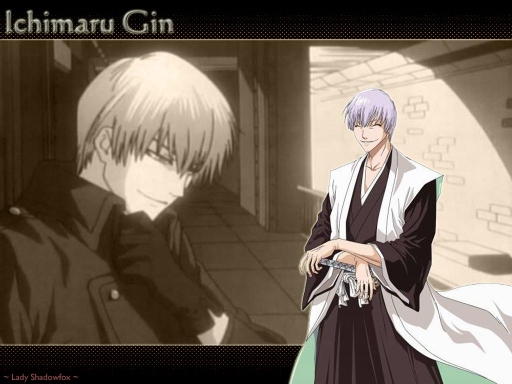 Ichimaru Gin