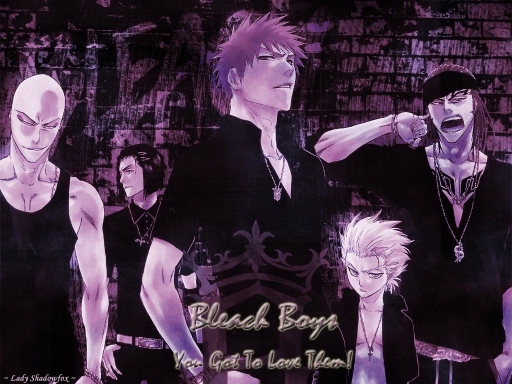 The Bleach Boys