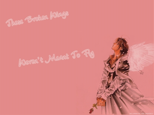 Broken Wings - Ynm