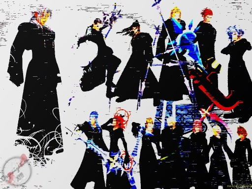 Organization Xiii