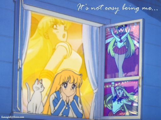 It's Not Easy Being Me