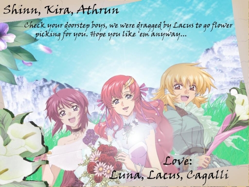 Luna, Lacus, Cagalli