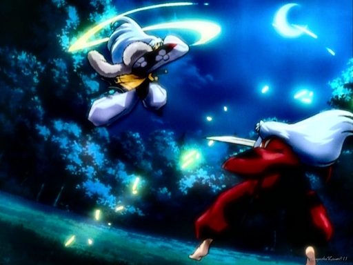 Inuyasha And Sesshomaru Fighti