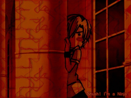 Shu...i'm A Ninja!