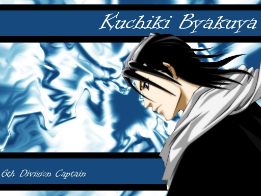 6th Division Captain Byakuya