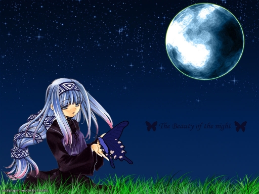 The Beauty Of The Night