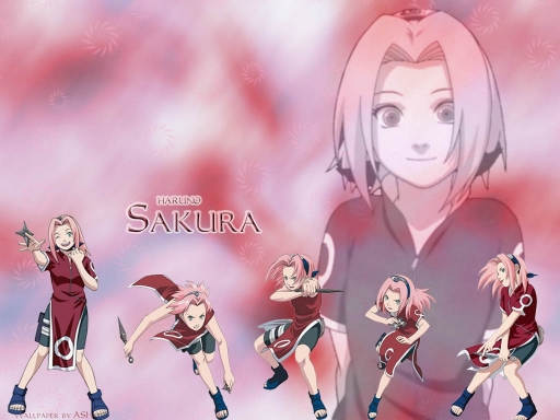 The Many Poses Of Sakura