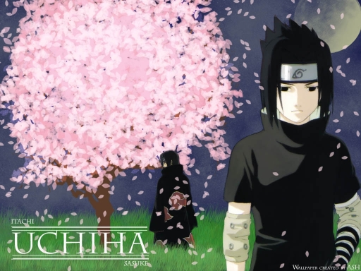 Uchiha Brothers