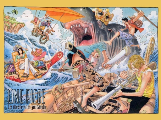 Summer Time With One Piece