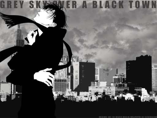 Grey Sky Over a Black Town