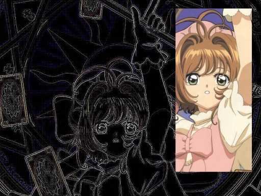 Sakura And The Clow Cards