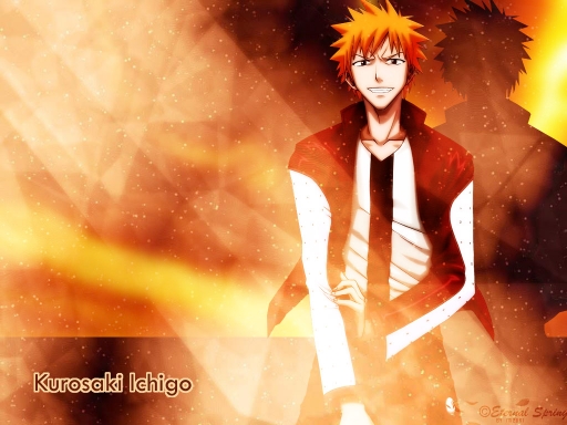 Kurosaki Ichigo