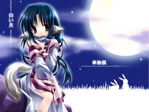 White Moon, Lone Fox