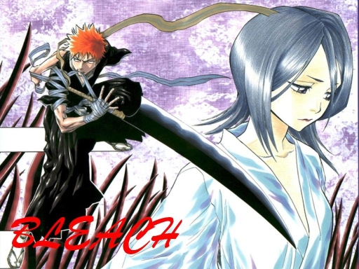 Ichigo And Rukia