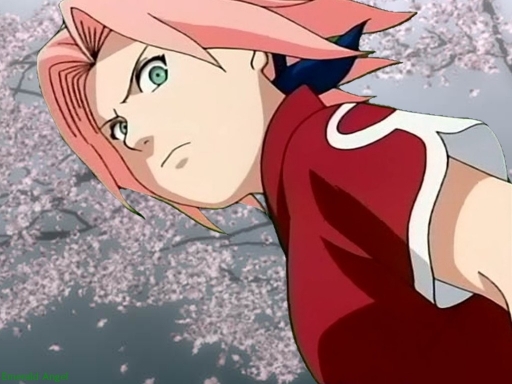 Sakura