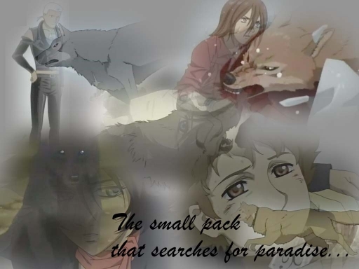 Wolf's Rain The Pack Wallpaper