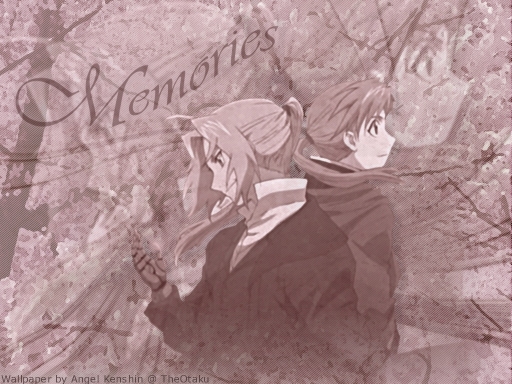 Memories From Under The Sakura