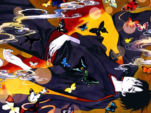 Watanuki and Butterflies