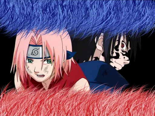 Sakura & Sasuke